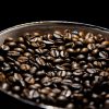 Milton & Bean Everyday Brew Bundle